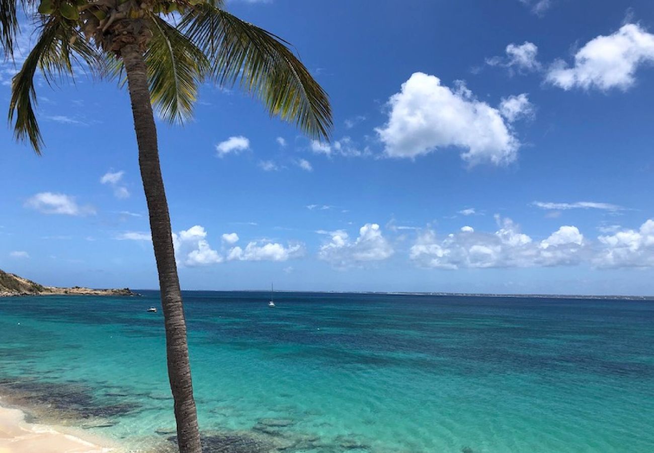 Appartement à Grand Case - Ti Dream: vos vacances sur la plage de Grand Case