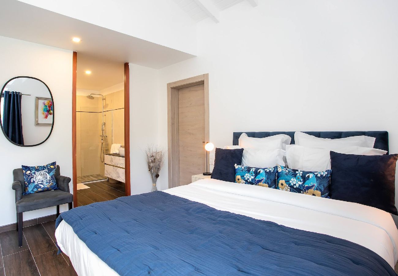 Villa à Anse Marcel - Villa Saba vacances de rêve entre mer et montagnes