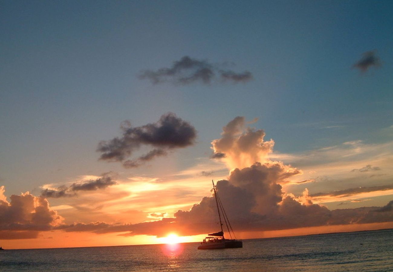 Villa in Orient Bay - Villa Indigo Pearl : Vue et raffinement OrientBay